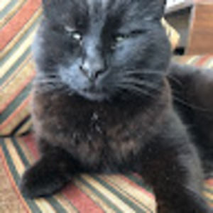 Meet your Posher, Arianna